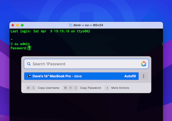 1Password 8 para Mac e uma janela de terminal, com o terminal exibindo comandos para digitar a senha.